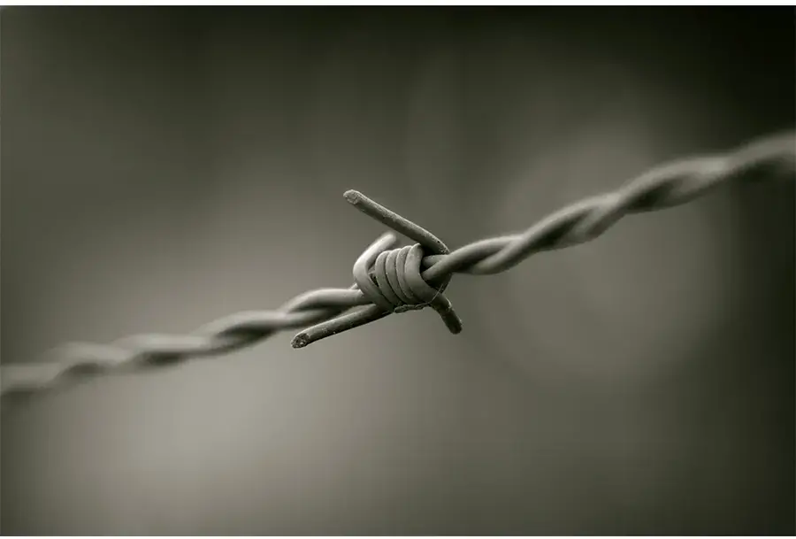 ferro spinato ferro bulloni ferro spinato ferro bulloni