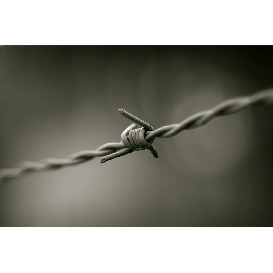 ferro spinato ferro bulloni